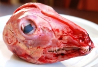 Lamb Head