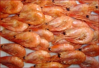 Smoke Prawns