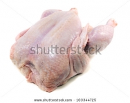 Hen