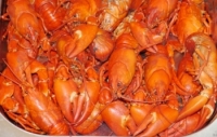 Smoked Crayfish  Large Bag 150g