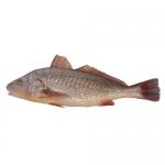 Whole Yellow Croaker Large Bag